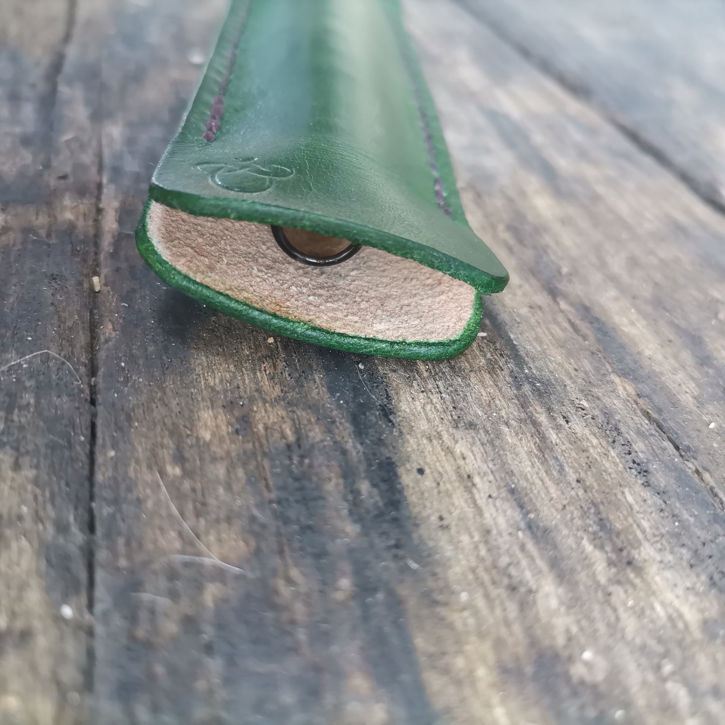BAKx stem case