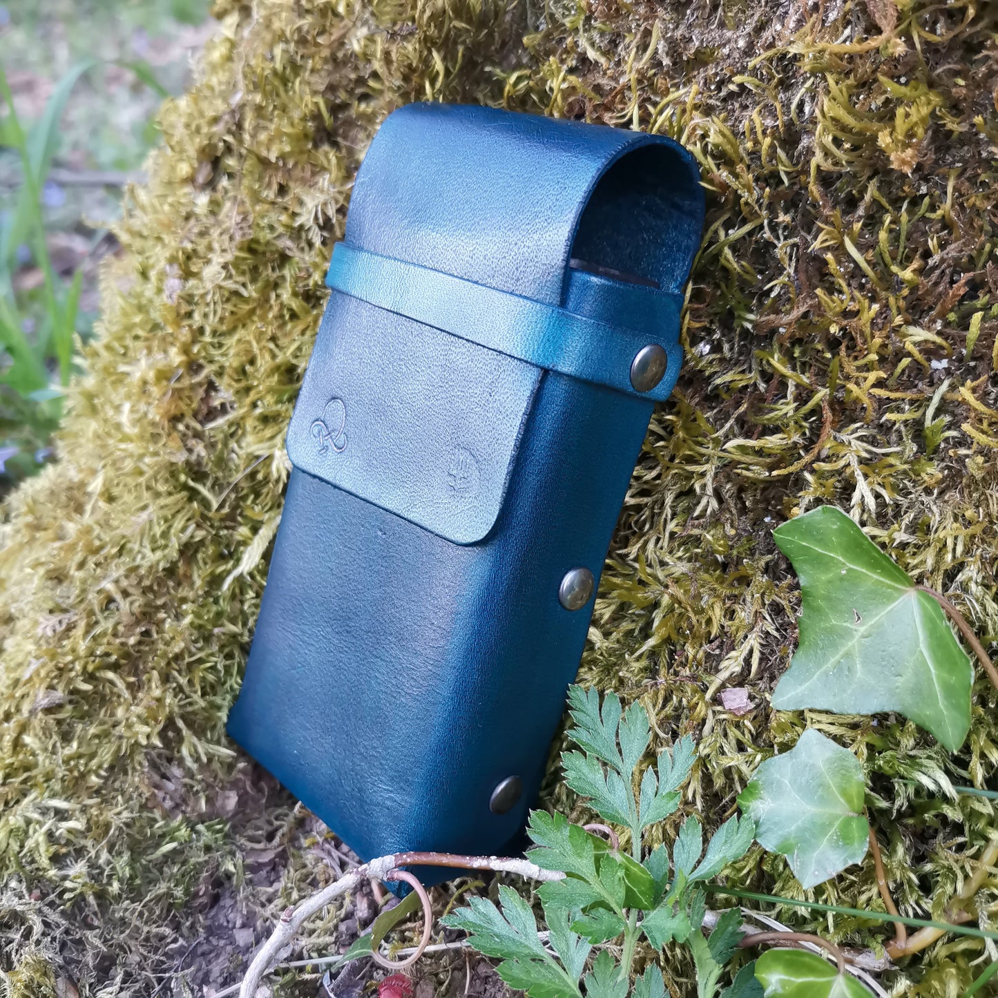 Toad Case Blue