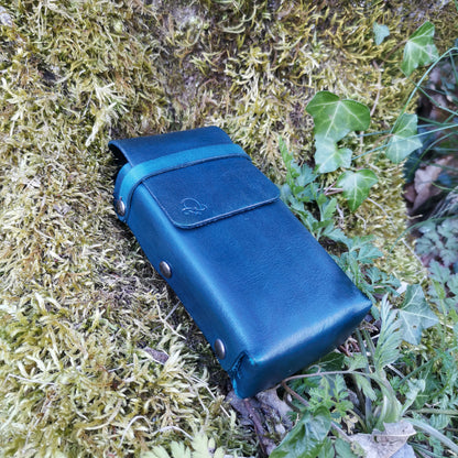 Toad Case Blue