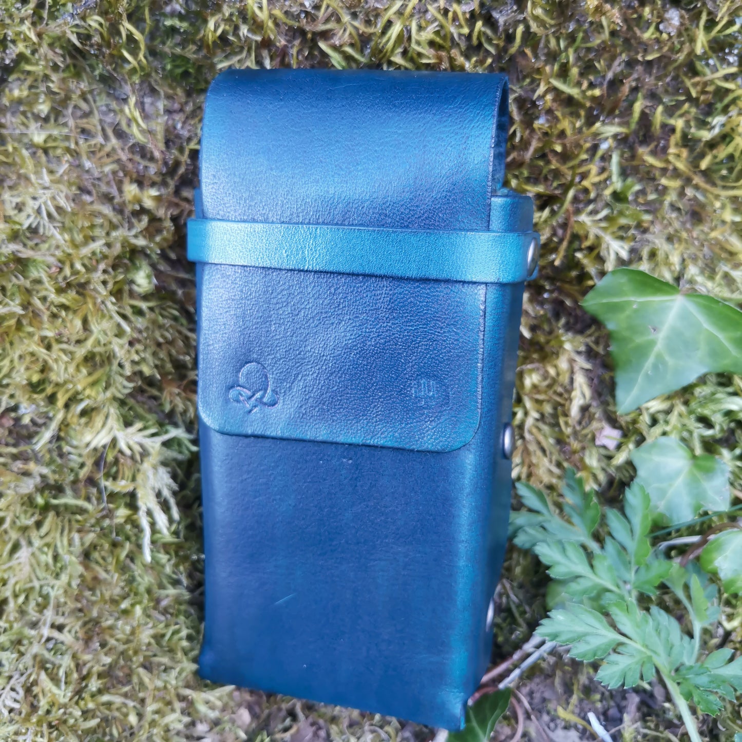 Toad Case Blue