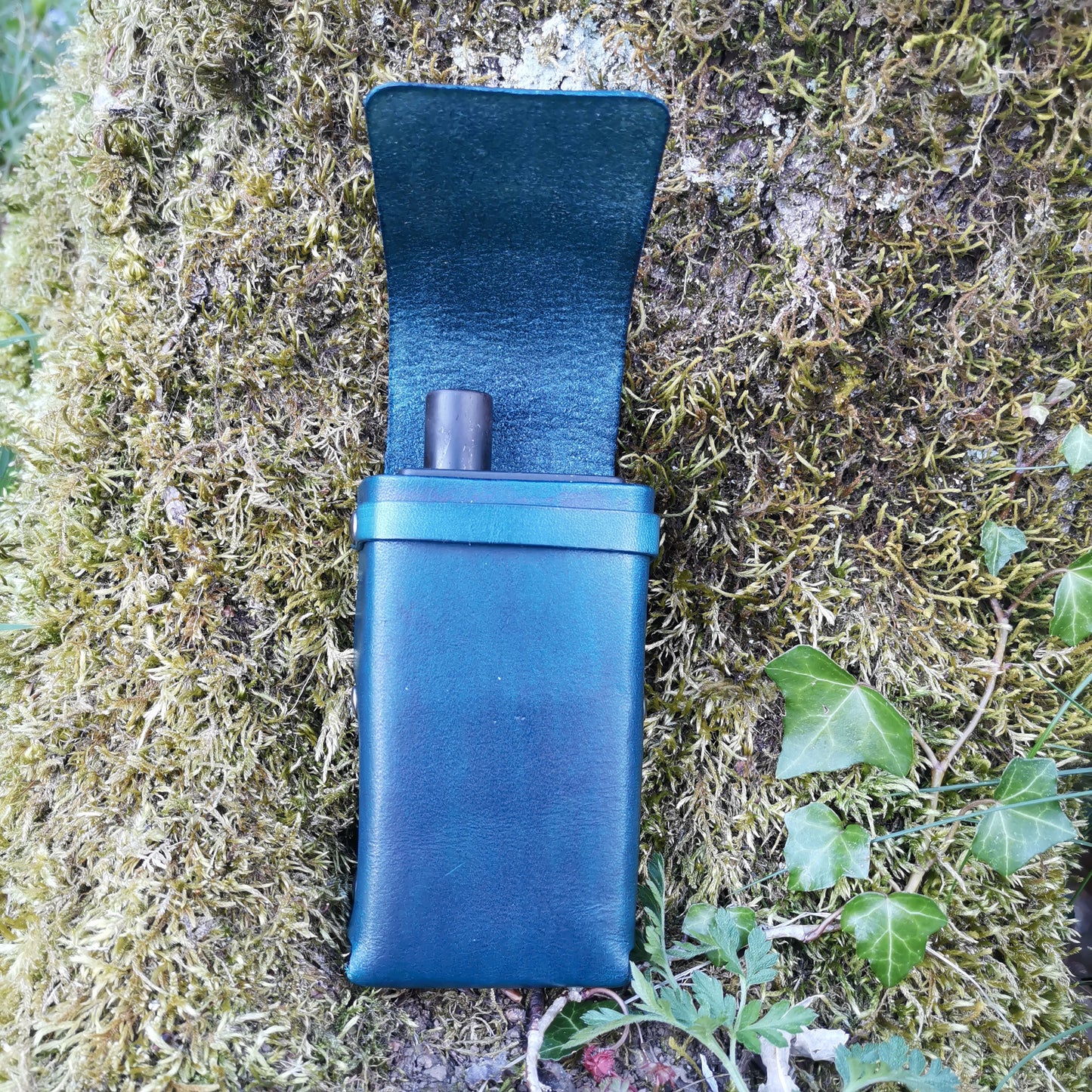 Toad Case Blue