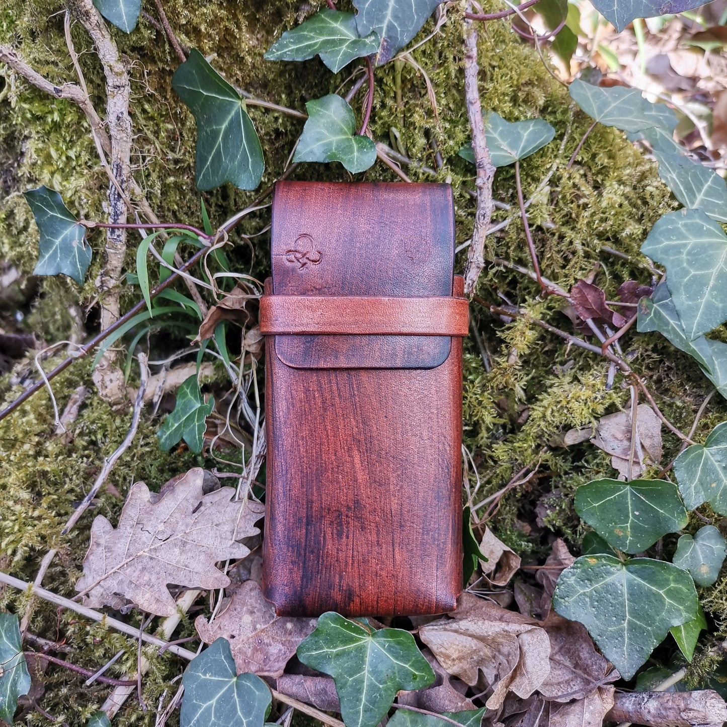 Toad Case