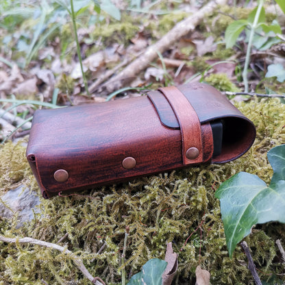 Toad Case