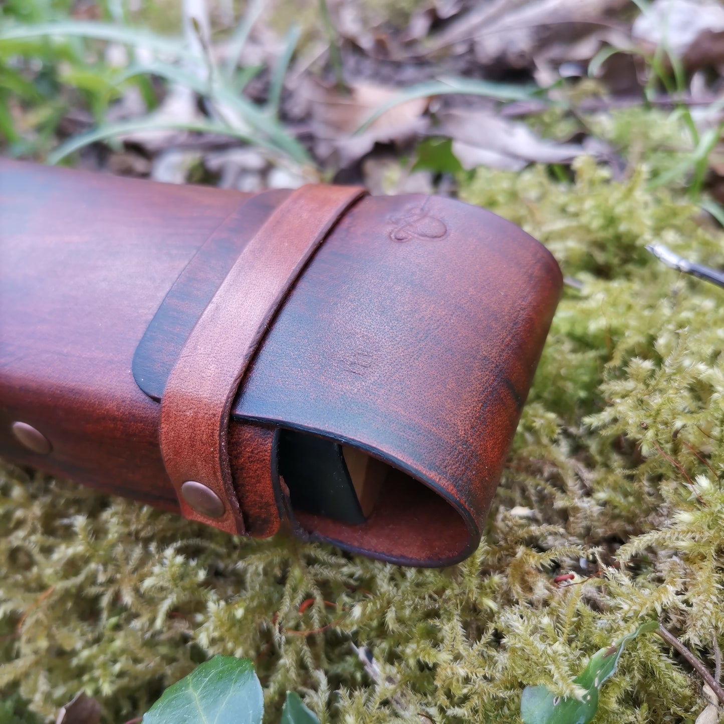 Toad Case