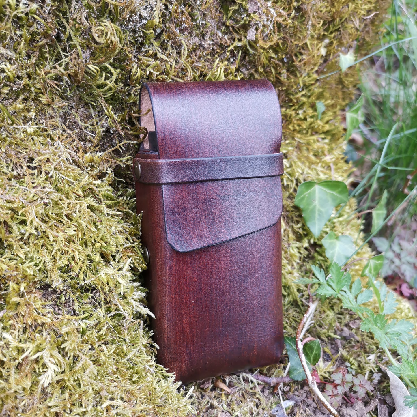 Toad Case