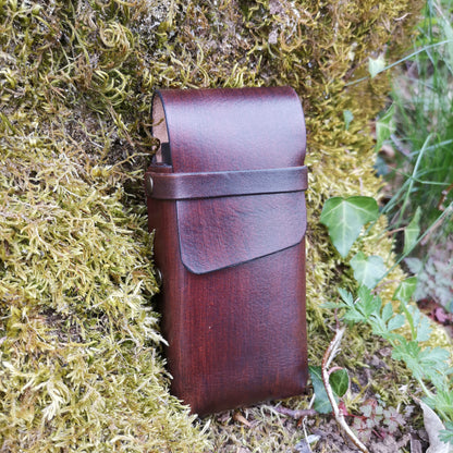 Toad Case