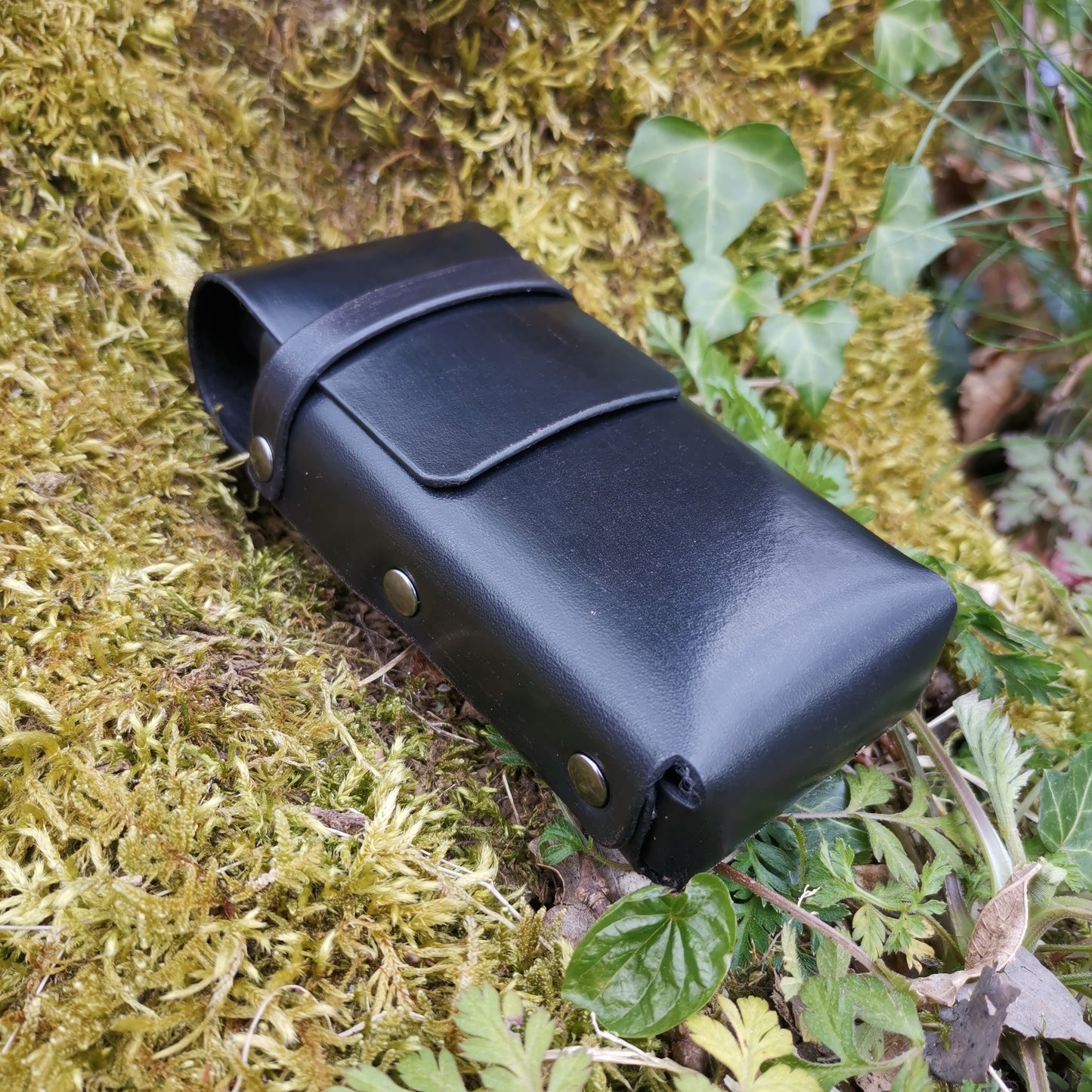 Toad Case