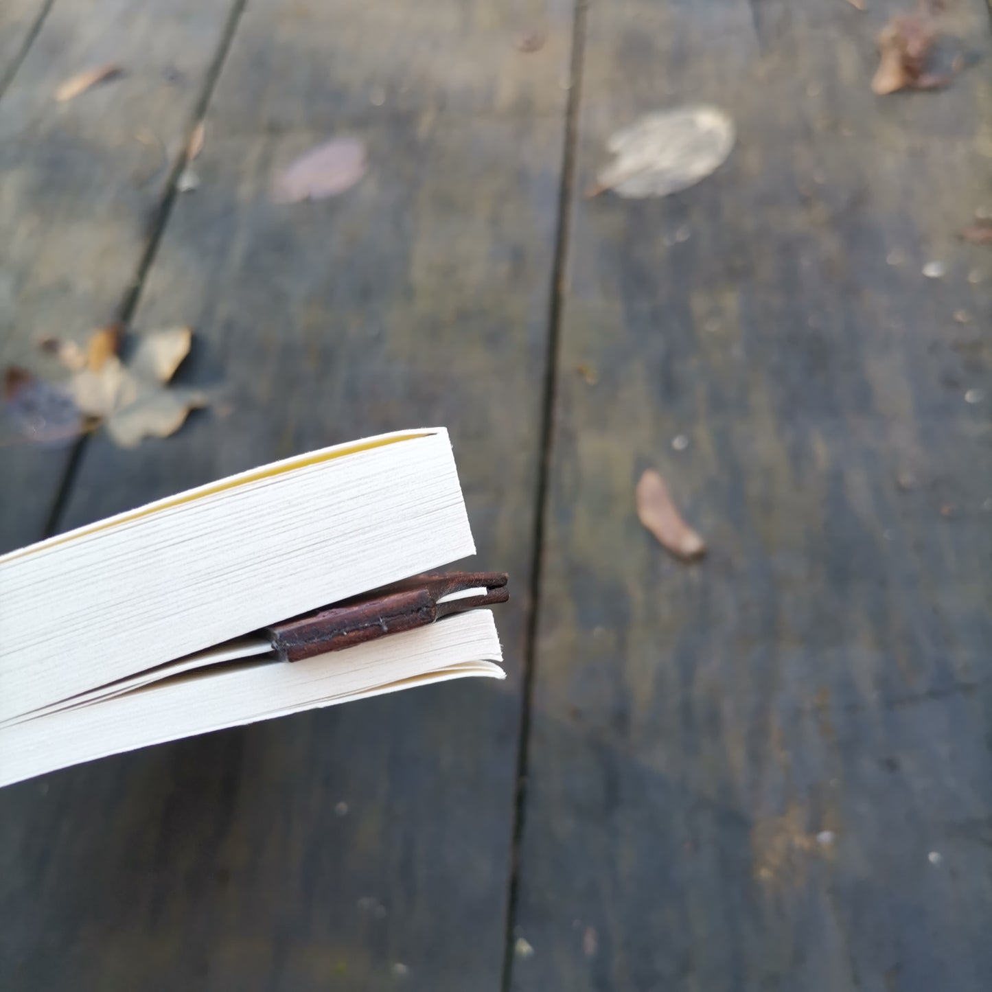 Bookmark